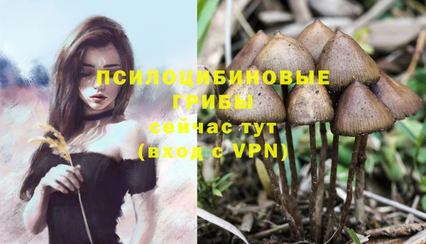MDMA Premium VHQ Белокуриха
