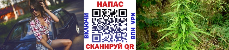 Каннабис VHQ  Выборг 